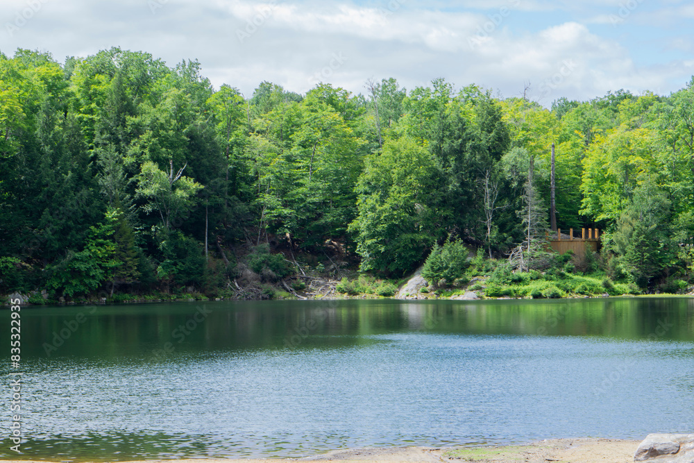 Beautiful Quebec nature. National parc Omega in Quebec, Canada. Landscape with lake and green summer forest. Beautiful Quebec nature. National parc Omega in Quebec, Canada. Landscape with lake and green summer forest.