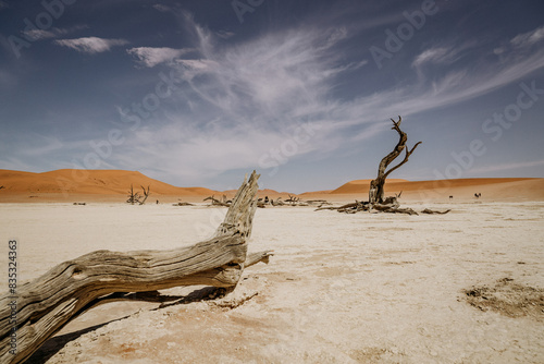 Namibia Namib Dessert Deadvlei Sossusvlei Dead Trees Big Daddy Dune photo