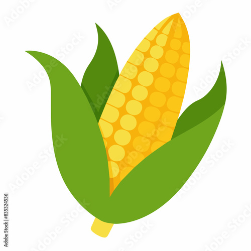 Corn cobs clipart illustration isolated on white background