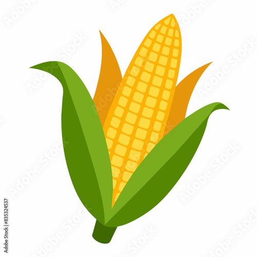 Corn cobs clipart illustration isolated on white background