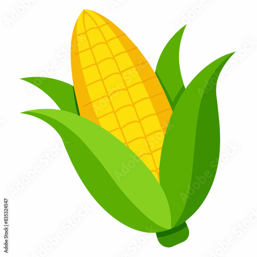 Corn cobs clipart illustration isolated on white background