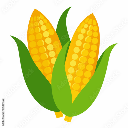 Corn cobs clipart illustration isolated on white background