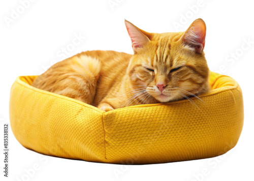Ginger Cat Resting In Yellow Bed