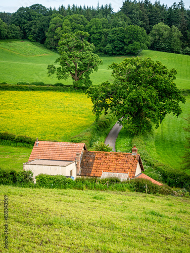 Rural landscape with house