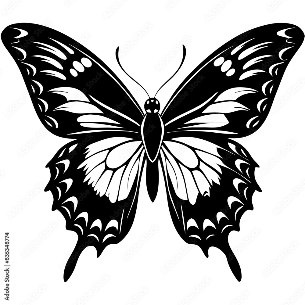 Detailed Black Butterfly Vector Illustration Detailed Black Butterfly Vector Illustration