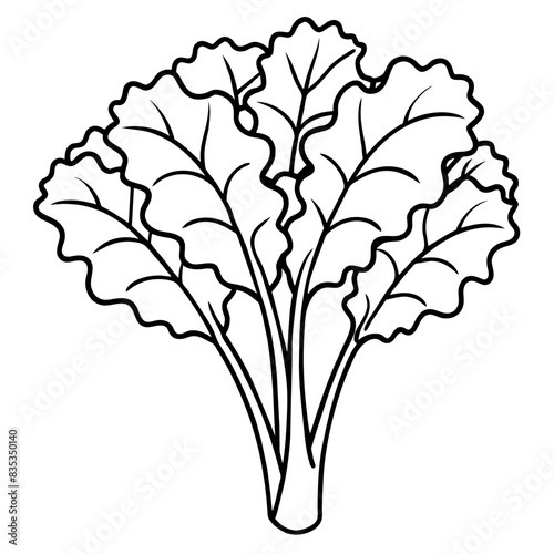 Detailed Vector Illustration of Kale Leaves