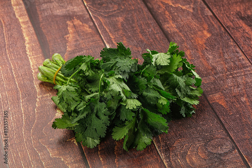 Fresh green cilantro branches heap photo