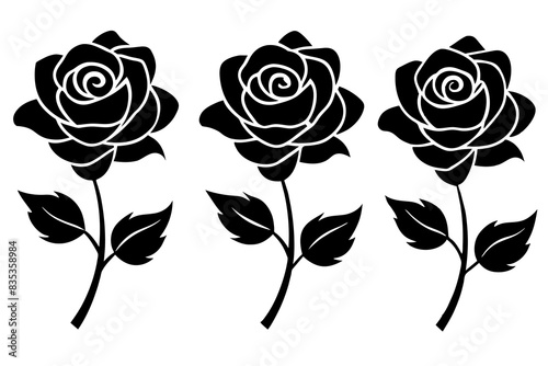 rose flower set silhouette vector illustration