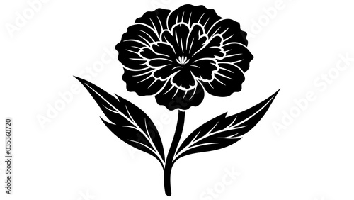 sweet William flower silhouette vector illustration