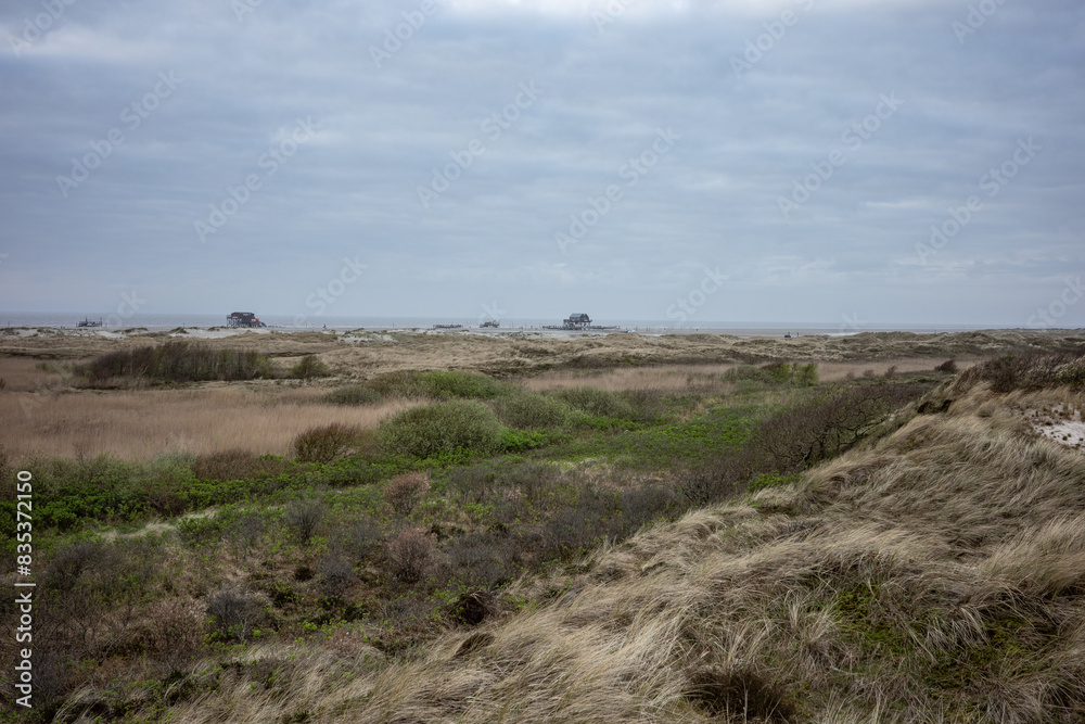 landscape of dunes on the North Sea in Germany landscape of dunes on the North Sea in Germany