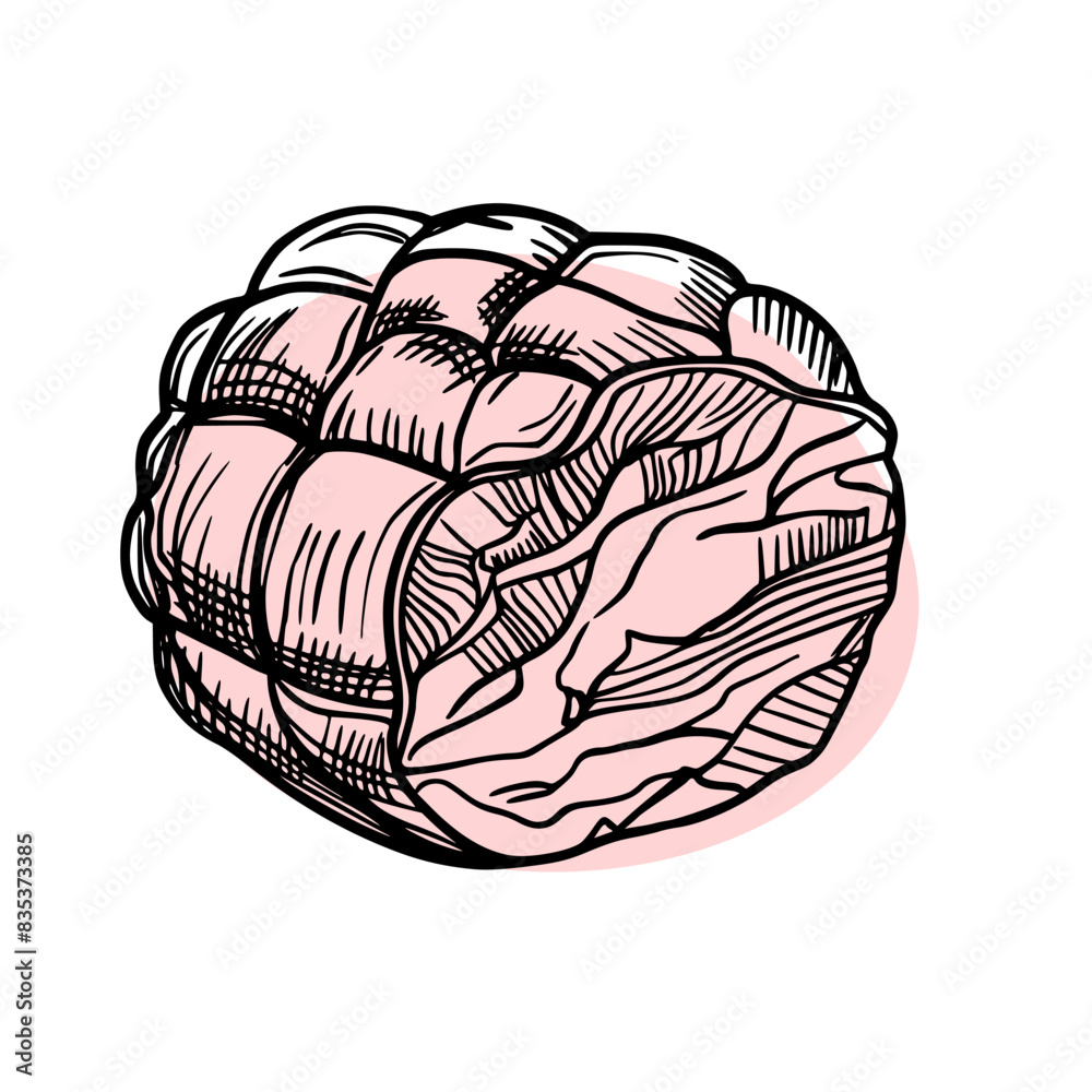 Sketch of meat products. Hand-drawn beef, lamb and pork steak extra or medium rare. Grilled sausages Sketch of meat products. Hand-drawn beef, lamb and pork steak extra or medium rare. Grilled sausages