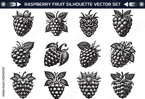 Raspberry fruit silhouette vector illustration set