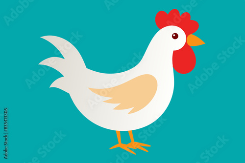 gallian chicken vector illustration