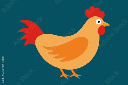 gallian chicken vector illustration
