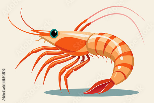 shrimp vector illustration