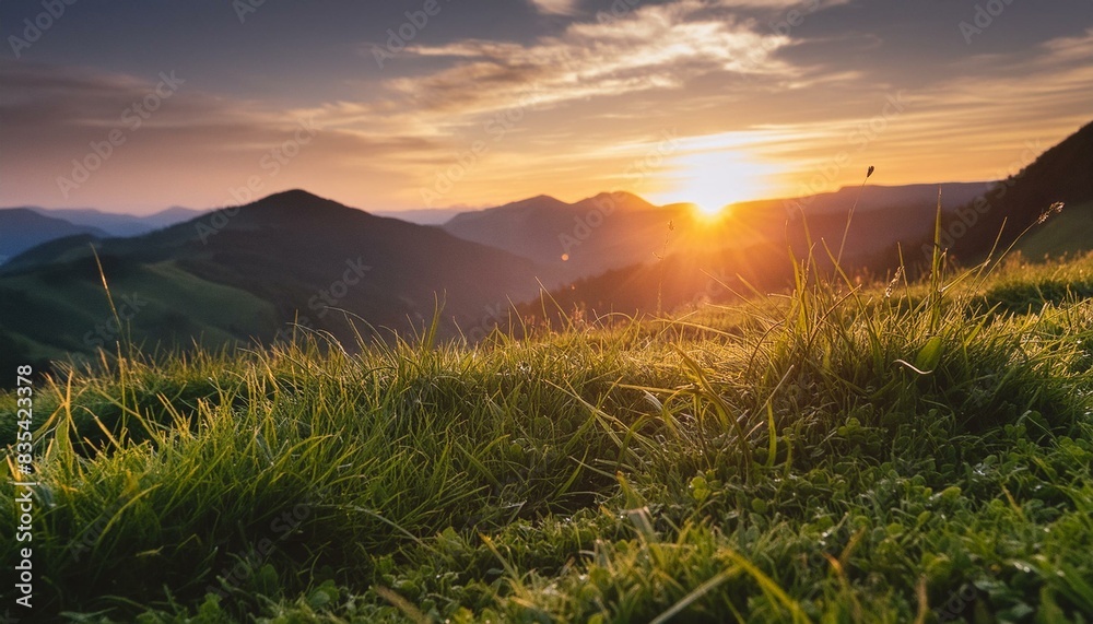 grass, a peaceful and relaxing landscape with a beautiful sunset