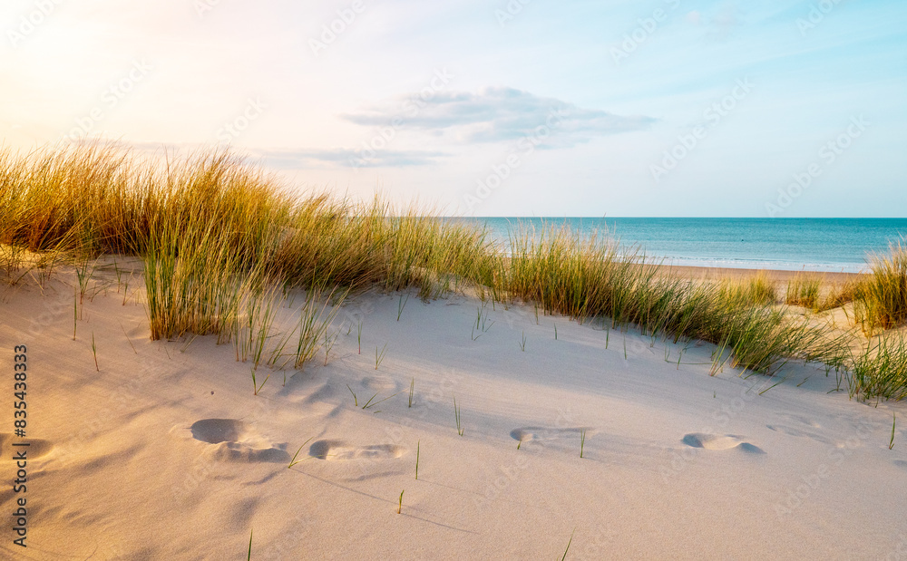 Beautiful Dutch beach in spring Beautiful Dutch beach in spring