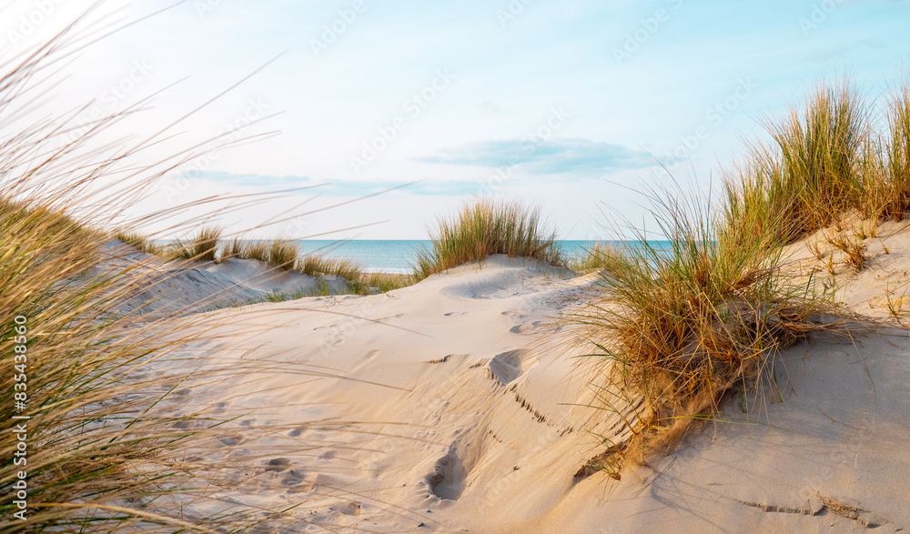 Beautiful dutch coastline at Texel island, Netherlands, in spring at sunset Beautiful dutch coastline at Texel island, Netherlands, in spring at sunset