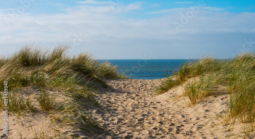 Beautiful Coastline of the nordic sea in the Netherlands © naturenow