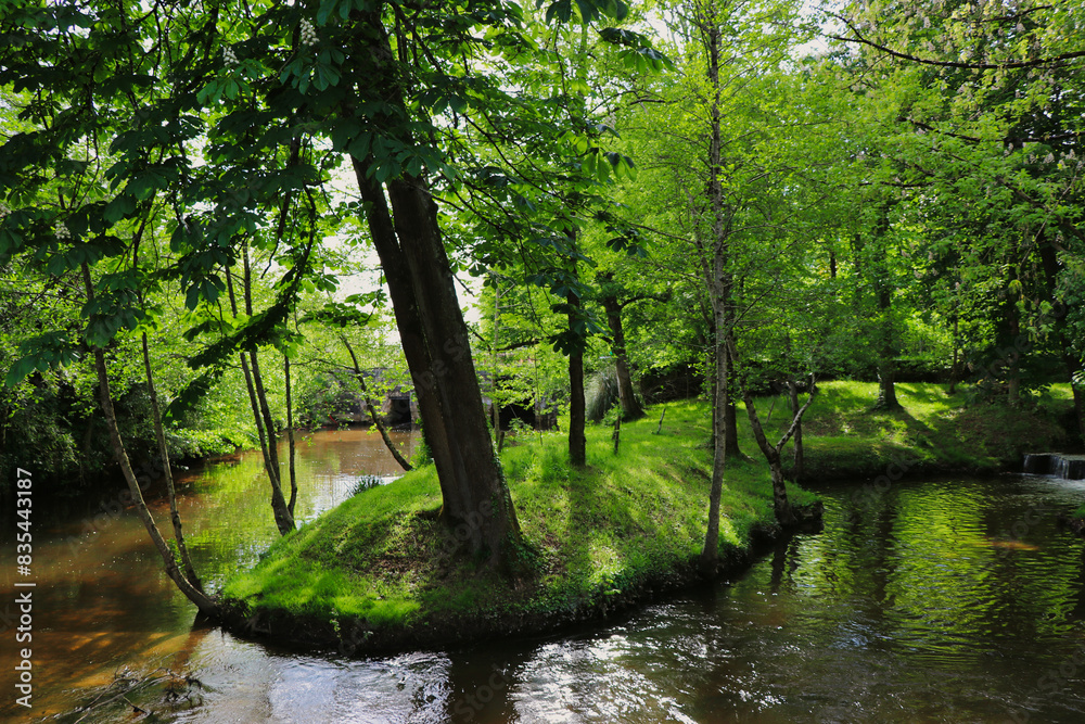 Obraz premium river in the park