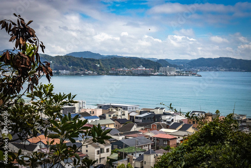 view over beach, ocean from hasedera temple, hase-dera, kamakura, tree, japan, buddhist temple photo