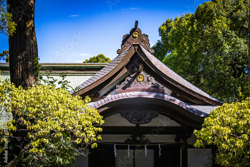 tsurugaoka hachiman-gu, shinto shrine, kamakura, japan, worship photo