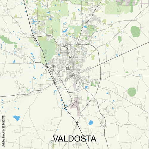 Valdosta, Georgia, United States map poster art