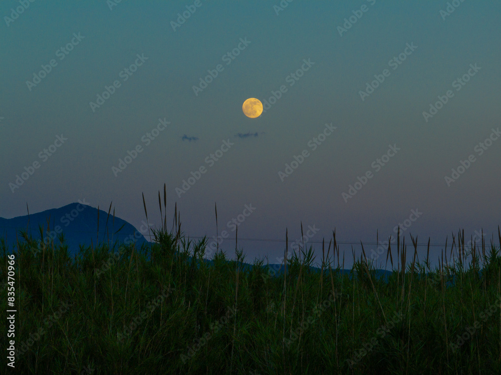 Beautiful Full moon over forest field in corfu island, Greece, in summer Beautiful Full moon over forest field in corfu island, Greece, in summer