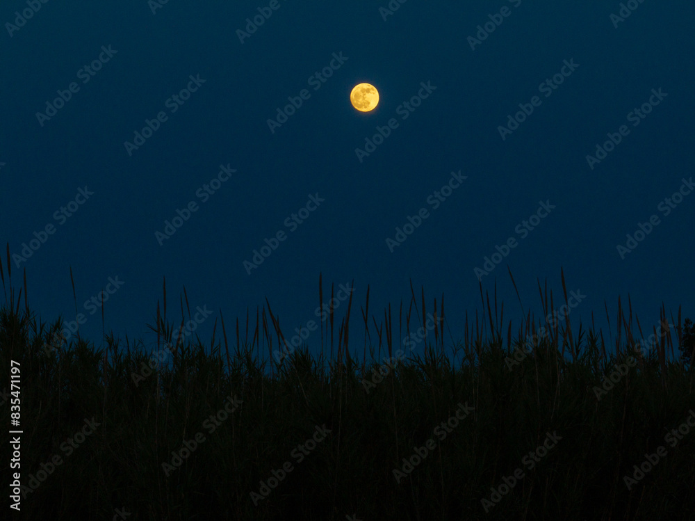 Beautiful Full moon over forest field in corfu island, Greece, in summer Beautiful Full moon over forest field in corfu island, Greece, in summer