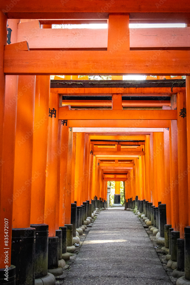fushimi inari taisha, fushimi inari, kyoto, torii, gates, vermilion, pathway, japan, temple, shrine fushimi inari taisha, fushimi inari, kyoto, torii, gates, vermilion, pathway, japan, temple, shrine
