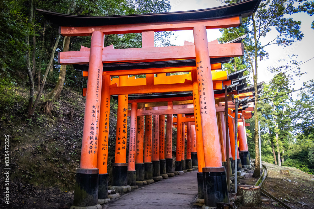 fushimi inari taisha, fushimi inari, kyoto, torii, gates, vermilion, pathway, japan, temple, shrine fushimi inari taisha, fushimi inari, kyoto, torii, gates, vermilion, pathway, japan, temple, shrine
