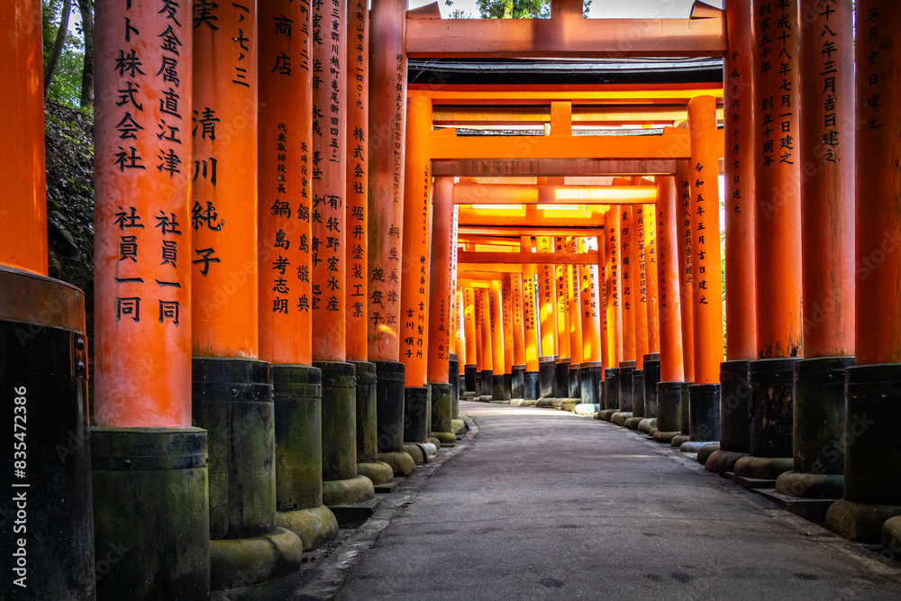 fushimi inari taisha, fushimi inari, kyoto, torii, gates, vermilion, pathway, japan, temple, shrine fushimi inari taisha, fushimi inari, kyoto, torii, gates, vermilion, pathway, japan, temple, shrine
