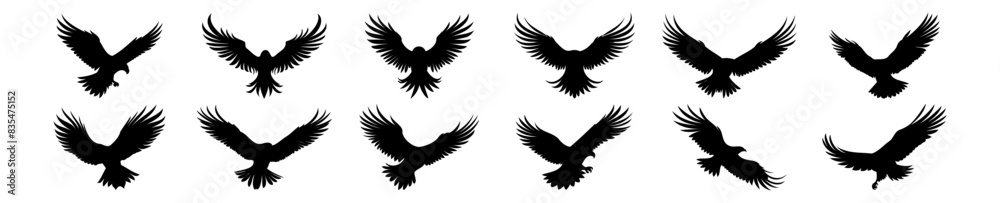 Eagle silhouettes set, pack of vector silhouette design, isolated background Eagle silhouettes set, pack of vector silhouette design, isolated background