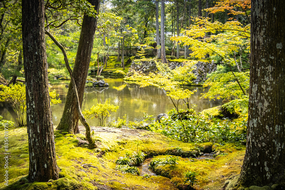 moss temple, saihoji, saiho-ji, kokedera, temple, kyoto, moss, world heritage, tranquility, japan, moss temple, saihoji, saiho-ji, kokedera, temple, kyoto, moss, world heritage, tranquility, japan,