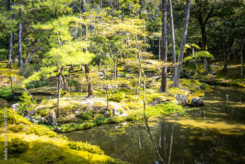 moss temple, saihoji, saiho-ji, kokedera, temple, kyoto, moss, world heritage, tranquility, japan,  photo