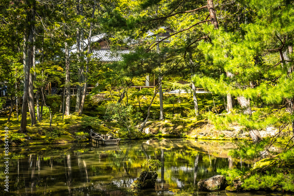 Fototapeta premium moss temple, saihoji, saiho-ji, kokedera, temple, kyoto, moss, world heritage, tranquility, japan, 