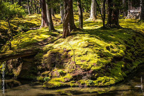 moss temple, saihoji, saiho-ji, kokedera, temple, kyoto, moss, world heritage, tranquility, japan,  photo