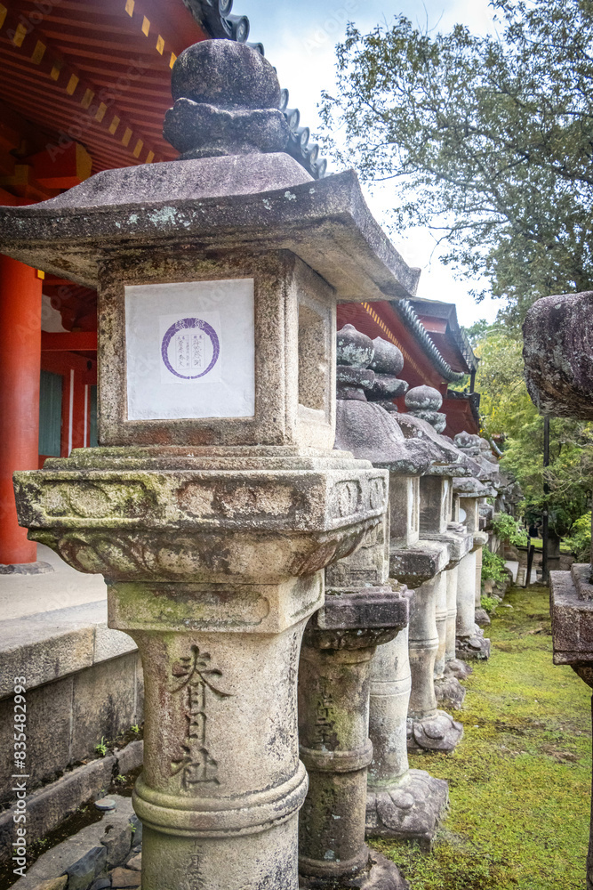 kasuga taisha shrine, nara, temple, lanterns, moss, stone lanterns, park, japan, asia