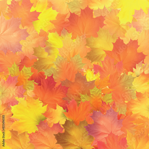 Red, orange, brown and yellow autumn leaves. Vector