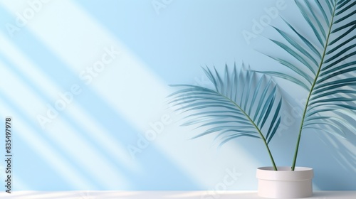 A plant sits in a white pot on a table