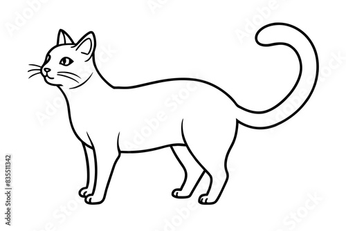 line art of a cat