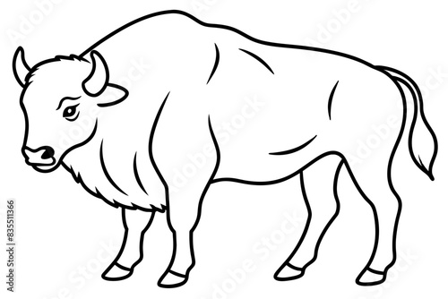 bison line art vector illustration  © Jutish