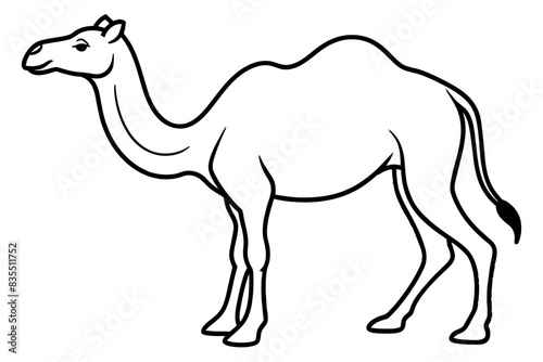 camel line art vector illustration