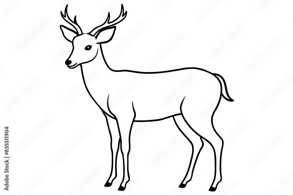 line art of a deer vector illustration