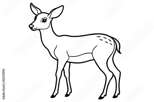 line art of a deer vector illustration