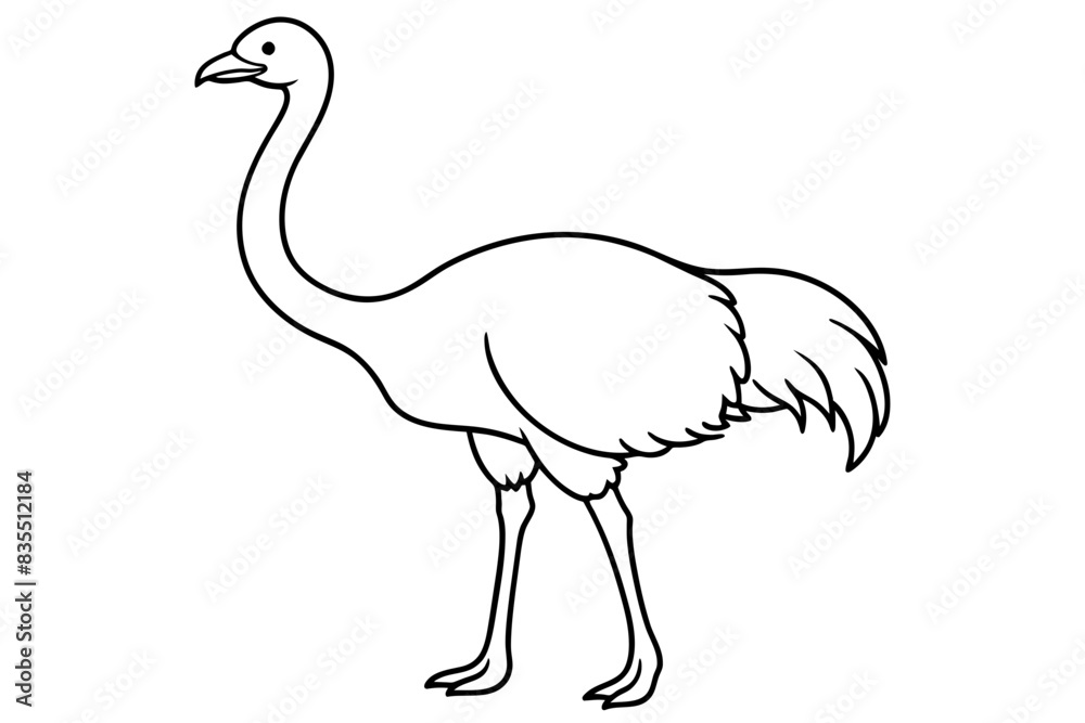 Obraz premium ostrich vector illustration