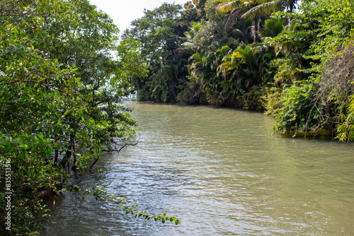 Rio que desagua na Praia do Jabaquara em Paraty, Rio de Janeiro, Brasil. photo