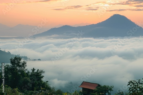 sunlight and fog at phu thok photo