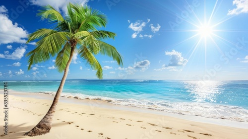 A palm tree is standing on a beach with the ocean in the background