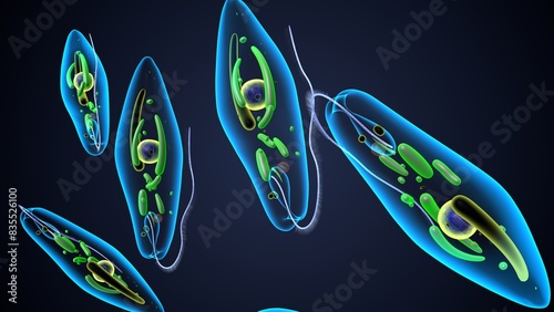 Tableau sur toile euglena reproduction anatomy. 3d render